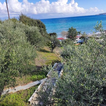 Coral Villas Kompoi Экстерьер фото